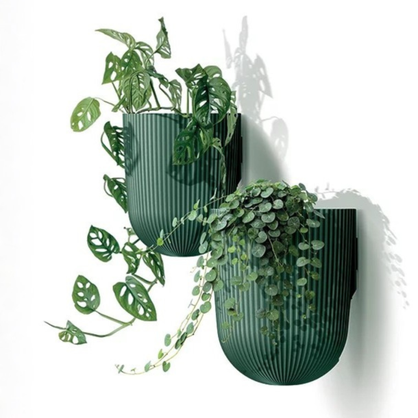 Milly Wall, V�gpotte