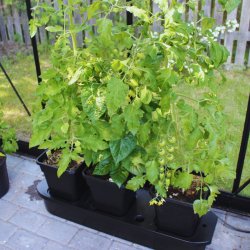 Selbstbewsserungskasten