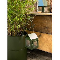 Olivengrnt Spyd til Hnge Lanterne