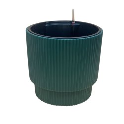 Milly 3 med selvvandingsindsats