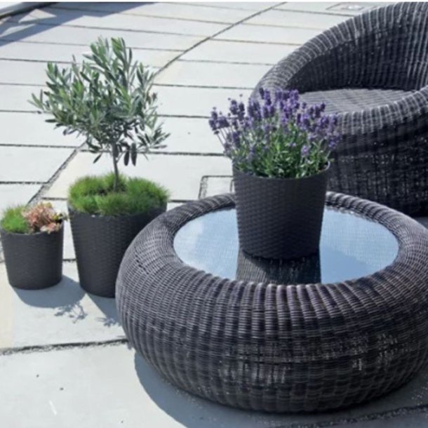 Rato potte med selvvandingsindsats