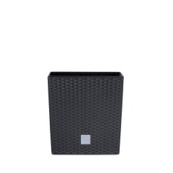 Rato med selvvandingsindsats, firkantet