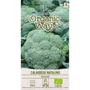 Broccoli Calabrese Natalino