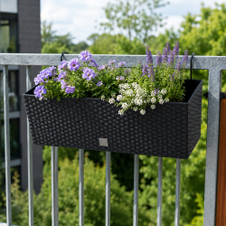 Blomsterkasse med selvvanding 50 cm. 