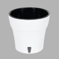 Dali, Potte med vandreservoir