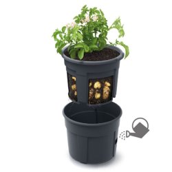 Kartoffel Potte - Stor