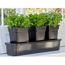 Selbstbewsserungskasten