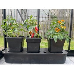 Selbstbewsserungskasten