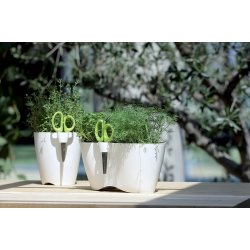 Potte Sonja, til krydderurter - med saks