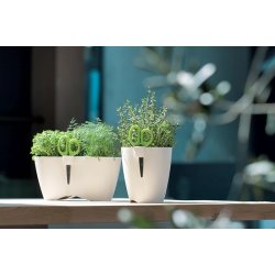 Potte Sonja, til krydderurter - med saks