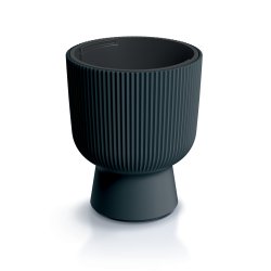 Milly 4 med selvvandingsindsats