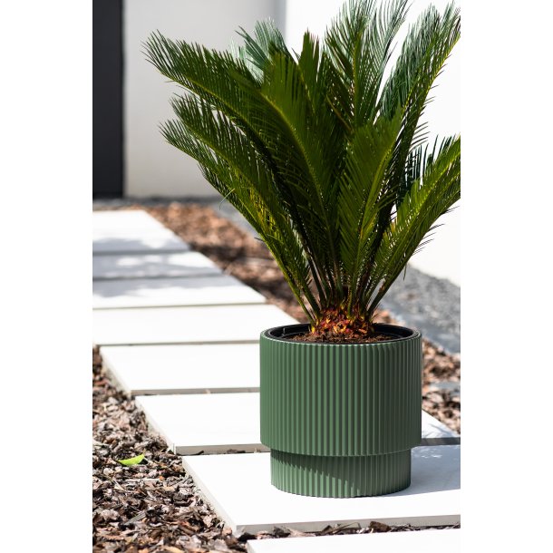 Milly 3 med selvvandingsindsats