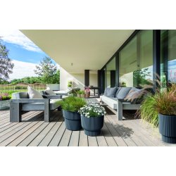 Milly 3 med selvvandingsindsats