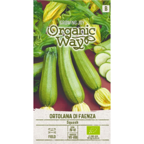 Squash Ortolana Di Faenza