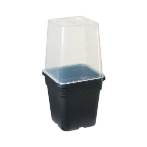 2. sortering pottedrivhus til beskyttelse af planter
