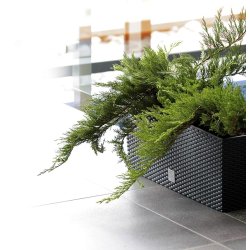 Blomsterkasse med selvvanding 50 cm. 