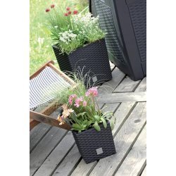 Rato med selvvandingsindsats, firkantet