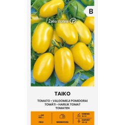 Tomat Taiko