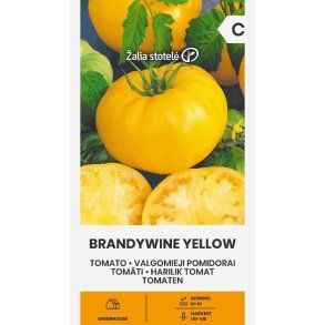 Tomat Brandywine Yellow