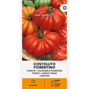 Tomat Costoluto Fiorentino