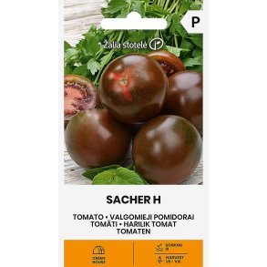 Tomat Sacher H