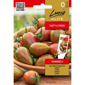 Tomat Shimmer H