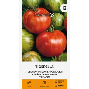 Tomat Tigerella