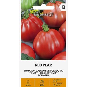 Tomat Red Pear