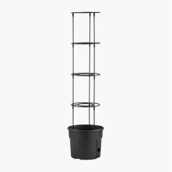 2. sortering Tomatt�rn stor