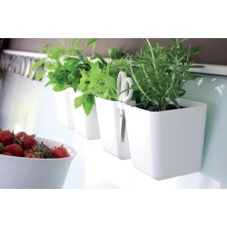 Potte Ilse, til krydderurter - med saks