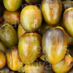 Tomat Brad�s Atomic Grape �ko