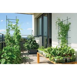 Plantest�tte Simon