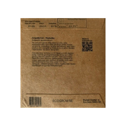 �kologiske tomatfr� � Maskotka, 5 stk.
