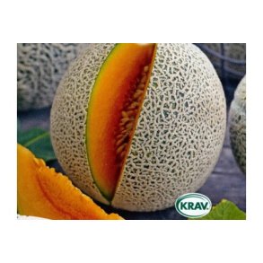 Melon Retato Degli Ortolani