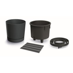 Plantetrn med espalier