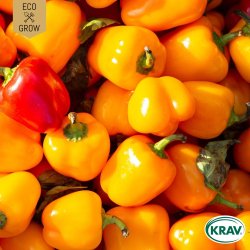 �kologiske snackpaprikafr� � Sweet Julie, 6 fr�