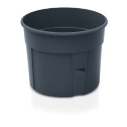 Tomattrn med espalier