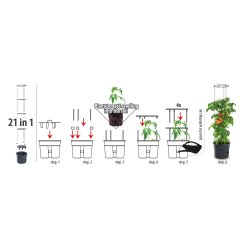 Tomattrn med espalier