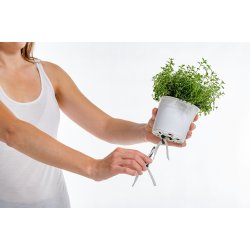 Vger til Krydderurtepotten