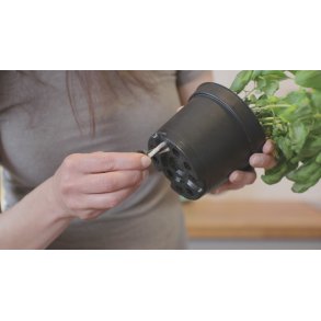 Vger til Krydderurtepotten