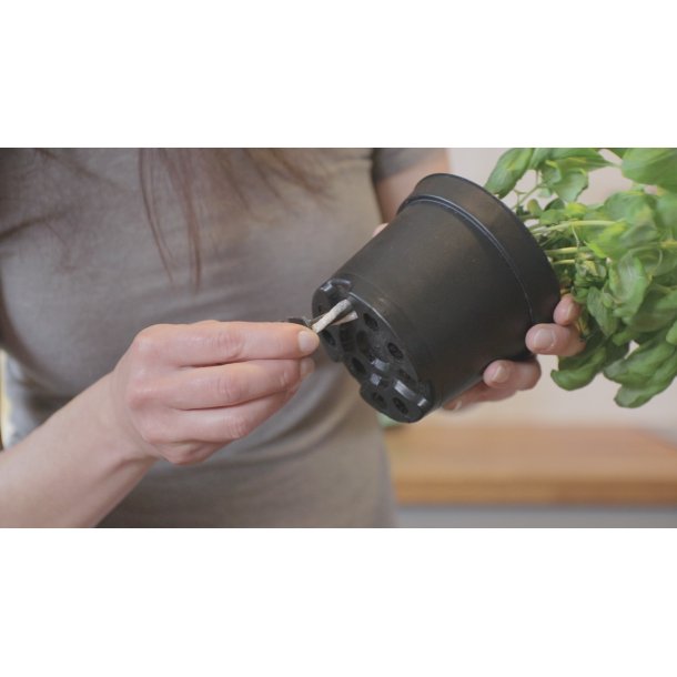 Vger til Krydderurtepotten